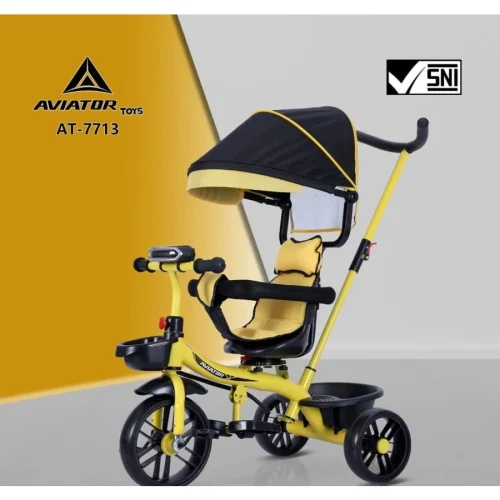 Tricycle Aviator 7713
